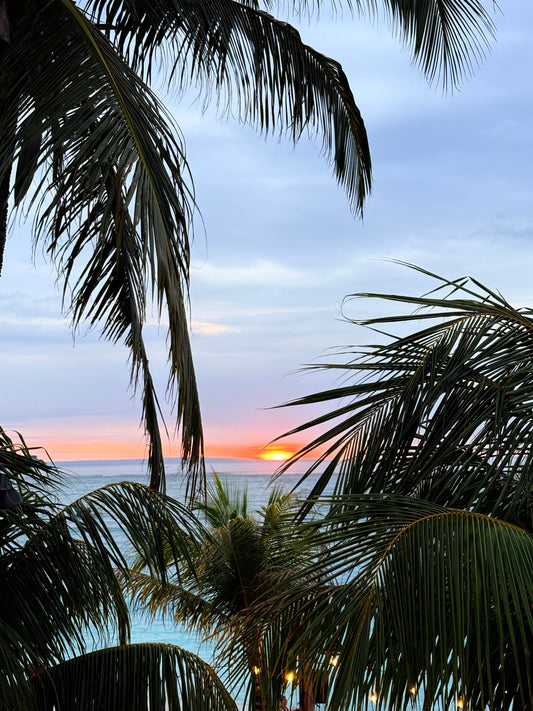 We Went to Bali, This is What We Learned